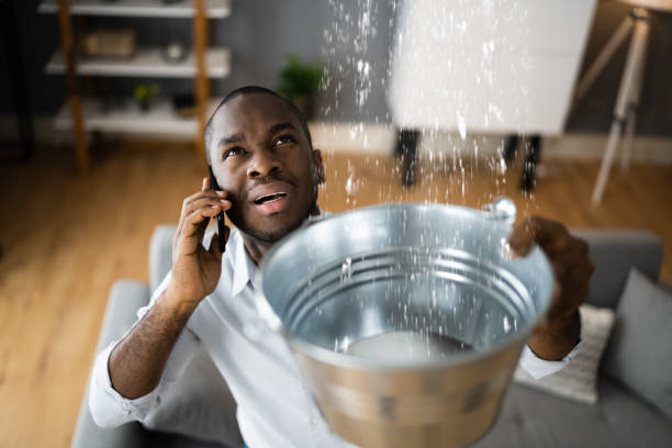 Best Water damage restoration near me  in Carnesville, GA