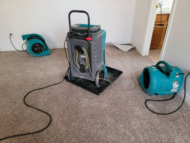 Trusted GA Water damage restoration Experts