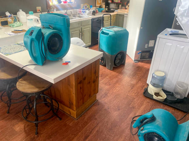  Carnesville, GA Water damage restoration Pros