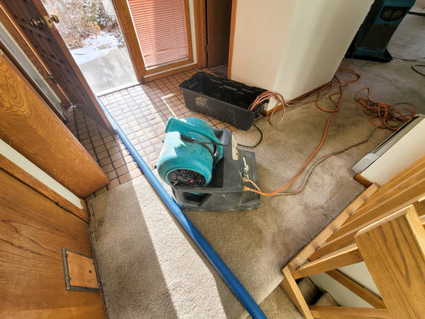 Best 24/7 water damage repair  in Carnesville, GA