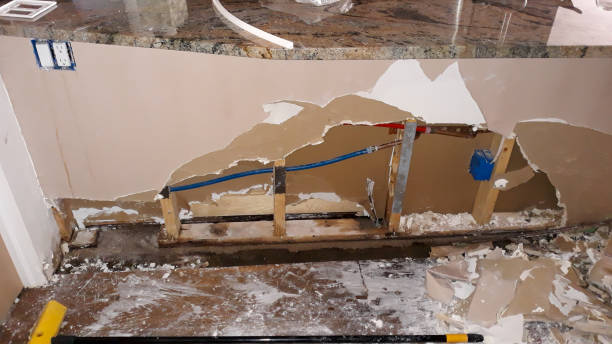 Best Commercial water damage restoration  in Carnesville, GA