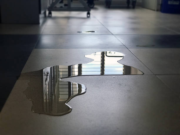 Best 24-hour water damage restoration  in Carnesville, GA