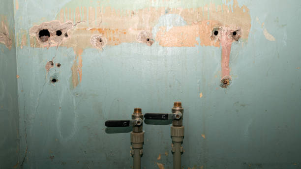 Best Basement water damage restoration  in Carnesville, GA