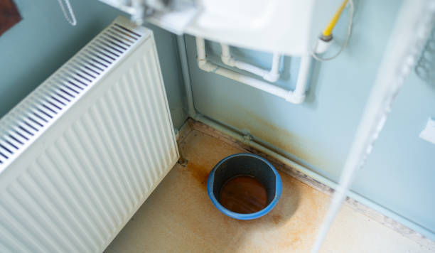 Best Water damage contractors near me  in Carnesville, GA