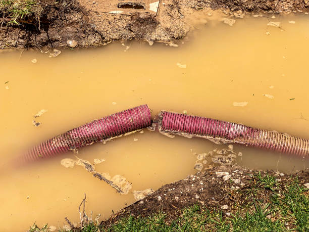 Best Flood damage cleanup  in Carnesville, GA