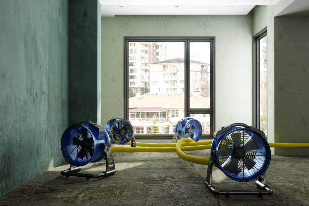 Best Local water damage restoration  in Carnesville, GA