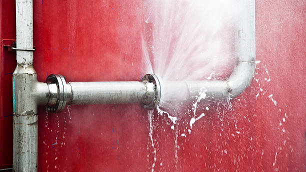 Best Water damage restoration services  in Carnesville, GA