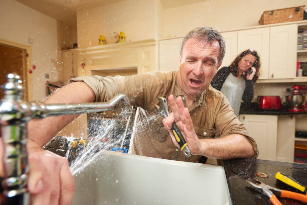  Carnesville, GA Water damage restoration Pros